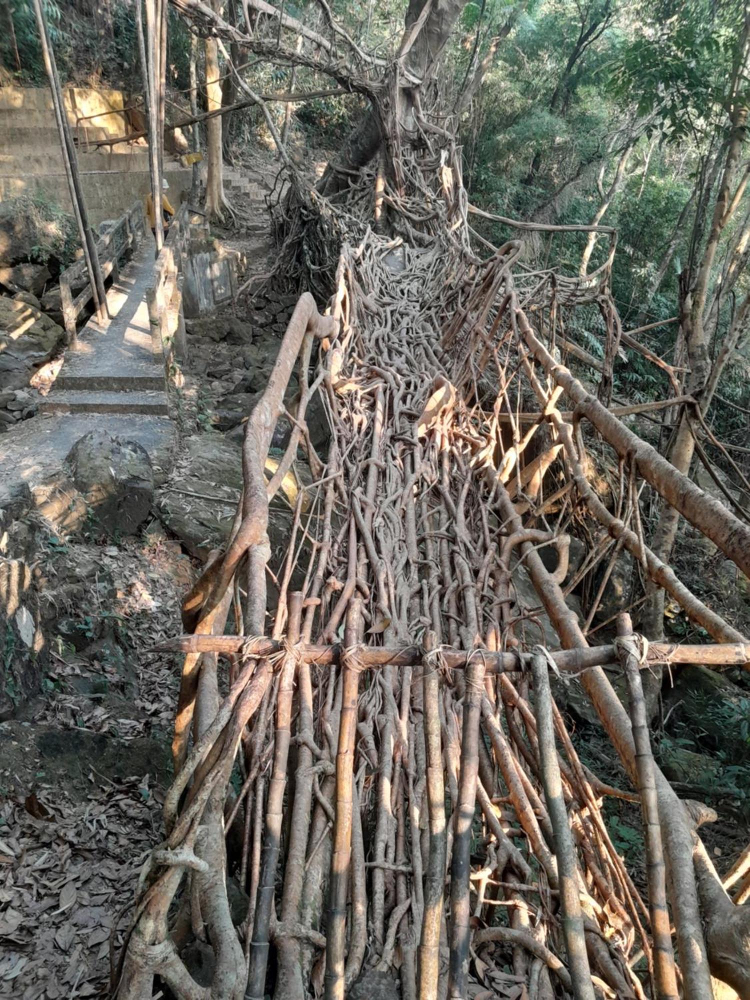 Living Roots Lodge Cherrapunji Exterior photo